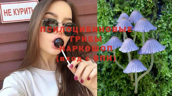 PSILOCYBIN Абаза