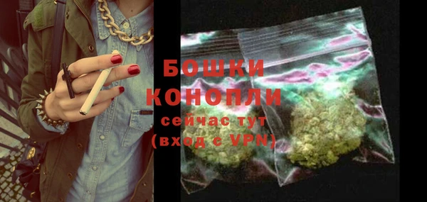 PSILOCYBIN Абаза
