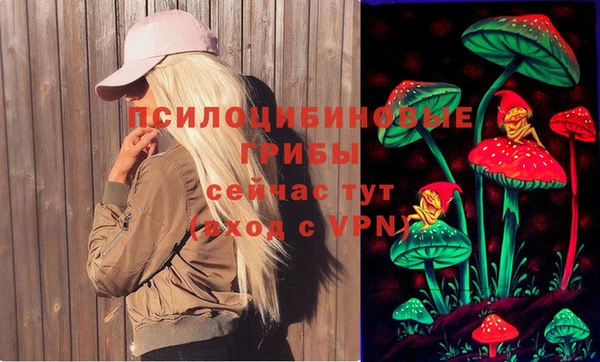 ALPHA-PVP Осинники